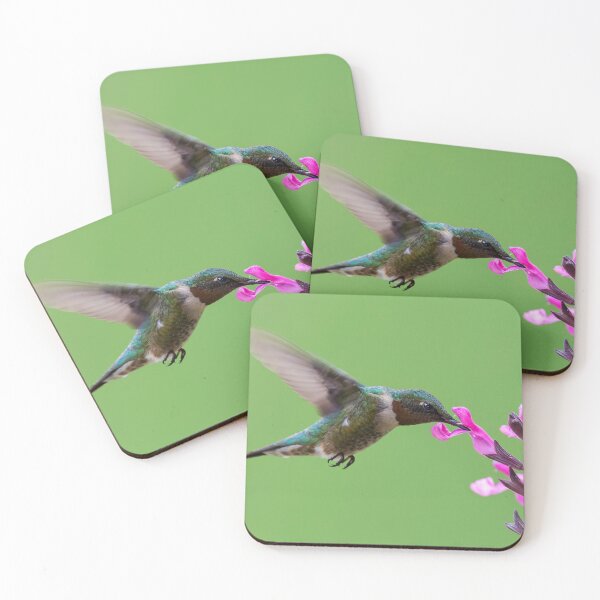 Item preview, Male Black-chinned hummingbird in action designed and sold by Puttaswamy Ravishankar.