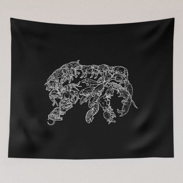 Item preview, Afrotheria – White and Black - Evolution designed and sold by EvolutionPoster.