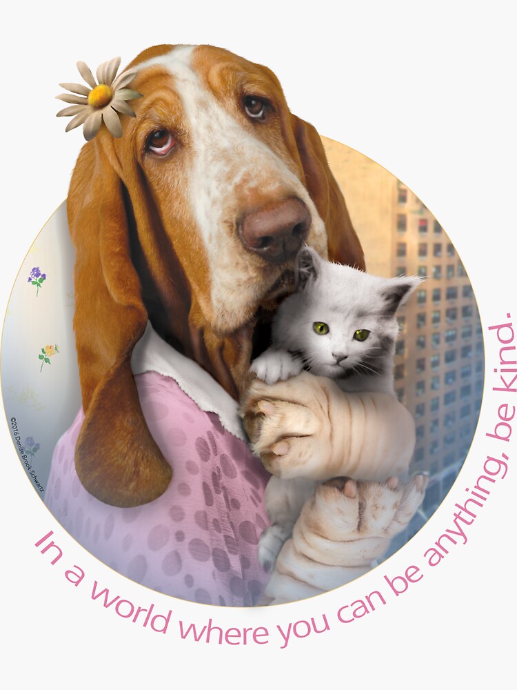 Basset Hound with a cat. Be Kind. by LucySchwartz