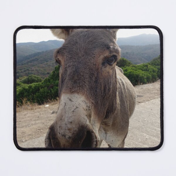 Item preview, Donkey designed and sold by Bradipino.