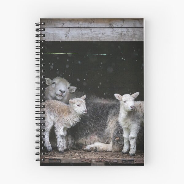 Item preview, Herdy Family designed and sold by AnitaNicholson.