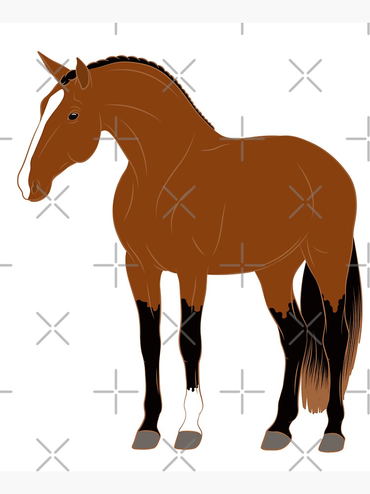 Aperçu 5 sur 5. Tote bag avec l'œuvre Cheval Alter Real, dessin cheval bai, cheval ibérique, races de chevaux du Portugal créée et vendue par WebEquitation.