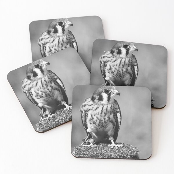 Item preview, American Kestrel Black and White designed and sold by MercerImages.