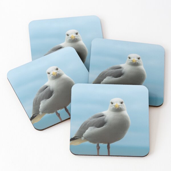 Item preview, Seagull stare designed and sold by aperture-point.