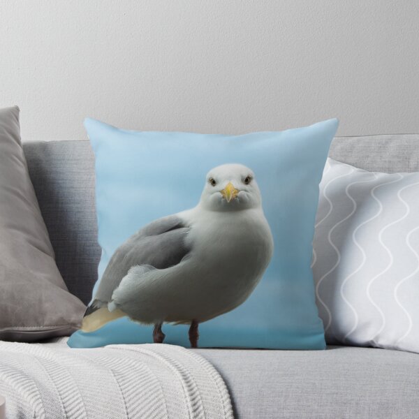 Item preview, Seagull stare designed and sold by aperture-point.