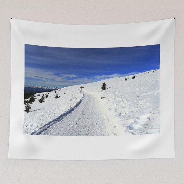 Item preview, Winter on the Rasciesa alp designed and sold by annalisa56.