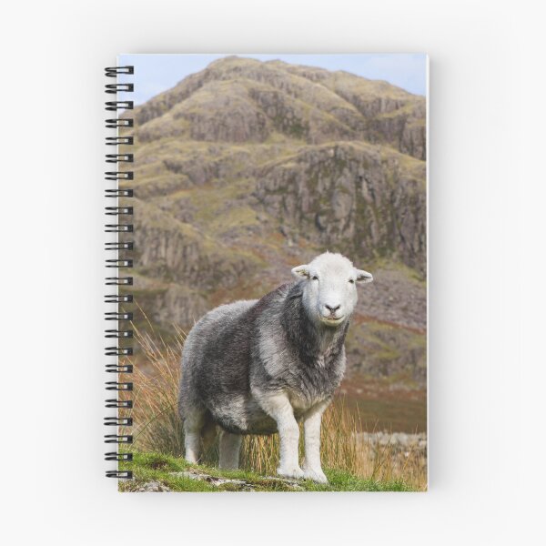 Item preview, Herdwick Sheep on the Fells designed and sold by Jane Stanley Photography.