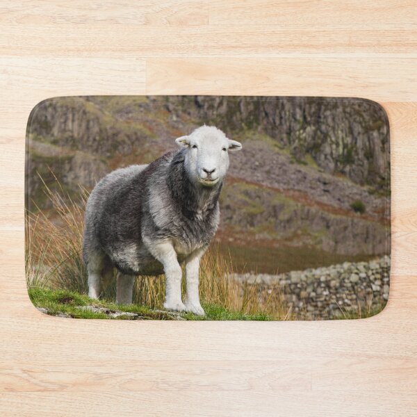 Item preview, Herdwick Sheep on the Fells designed and sold by Jane Stanley Photography.