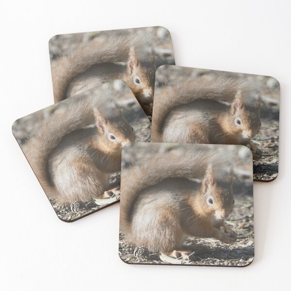 Item preview, Red Squirrel  .Caledonian Pine Forest . Lossiemouth designed and sold by Derren Jones.