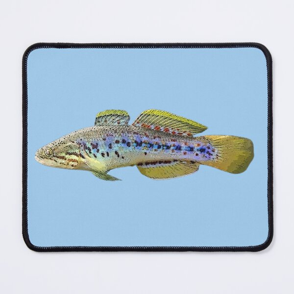 Item preview, Purple Spotted Gudgeon Color Design designed and sold by designsasstultd.