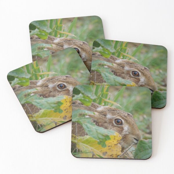 Item preview, Hare in the cabbages designed and sold by Wildlifespotter.