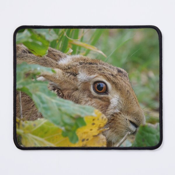 Item preview, Hare in the cabbages designed and sold by Wildlifespotter.