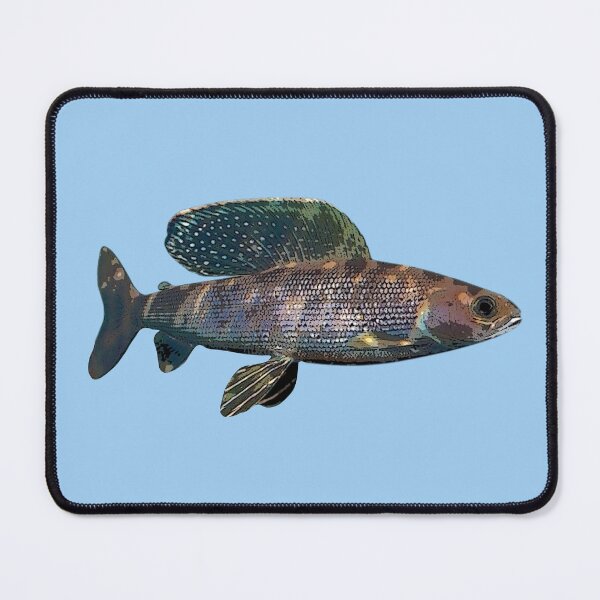 Item preview, Arctic Grayling Color Design  designed and sold by designsasstultd.
