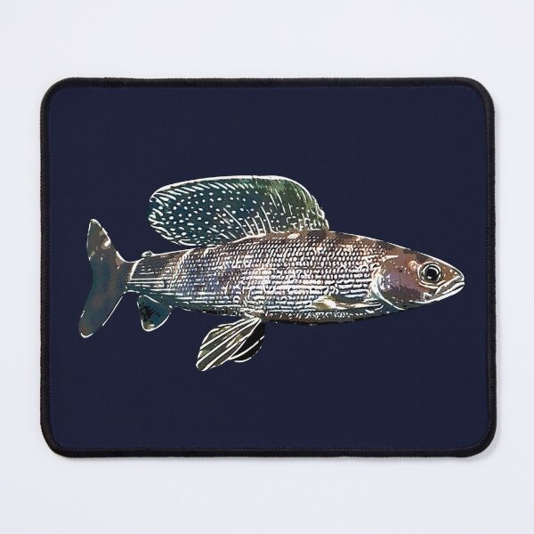 Item preview, Arctic Grayling White Alternate Design  designed and sold by designsasstultd.