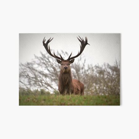 Item preview, Stunning great stag designed and sold by Wildlifespotter.