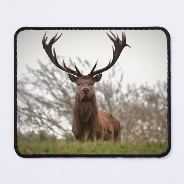 Item preview, Stunning great stag designed and sold by Wildlifespotter.