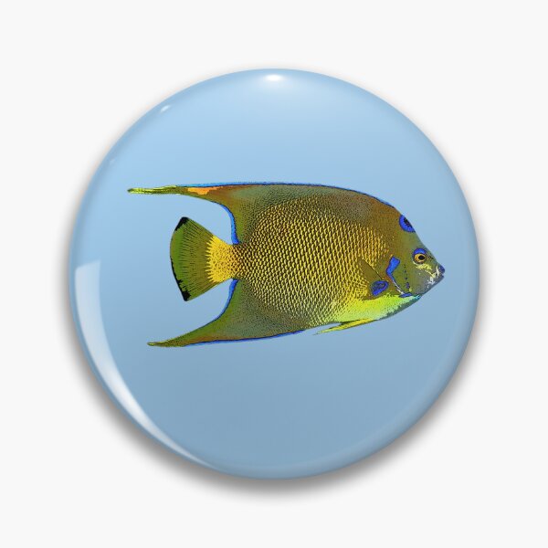 Item preview, Queen Angelfish Color Design  designed and sold by designsasstultd.