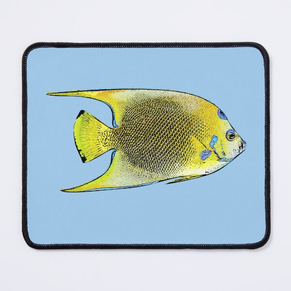 Item preview, Queen Angelfish Black Alternate Design designed and sold by designsasstultd.