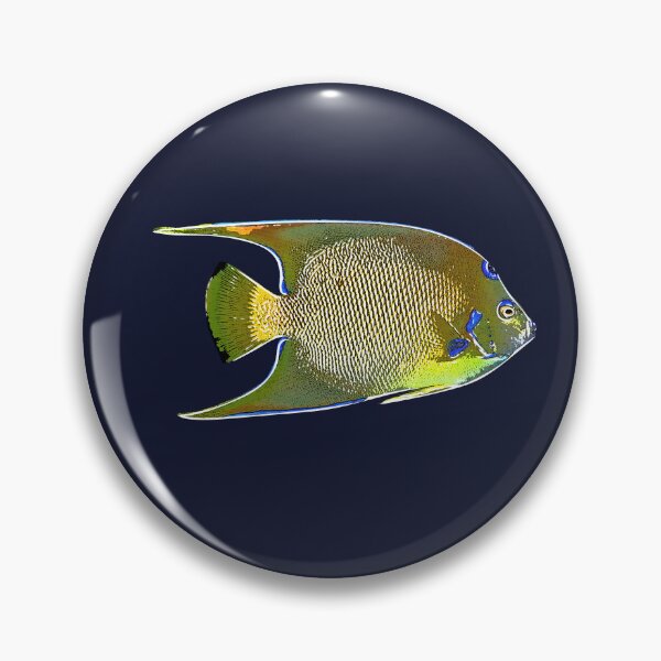 Item preview, Queen Angelfish White Alternate Design  designed and sold by designsasstultd.