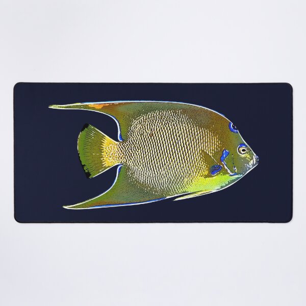 Item preview, Queen Angelfish White Alternate Design  designed and sold by designsasstultd.