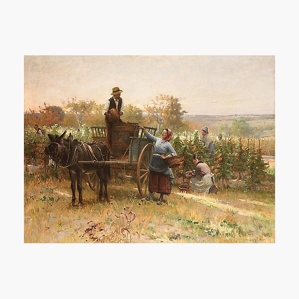 Item preview, Harvesting Grapes designed and sold by tomorrowsart.