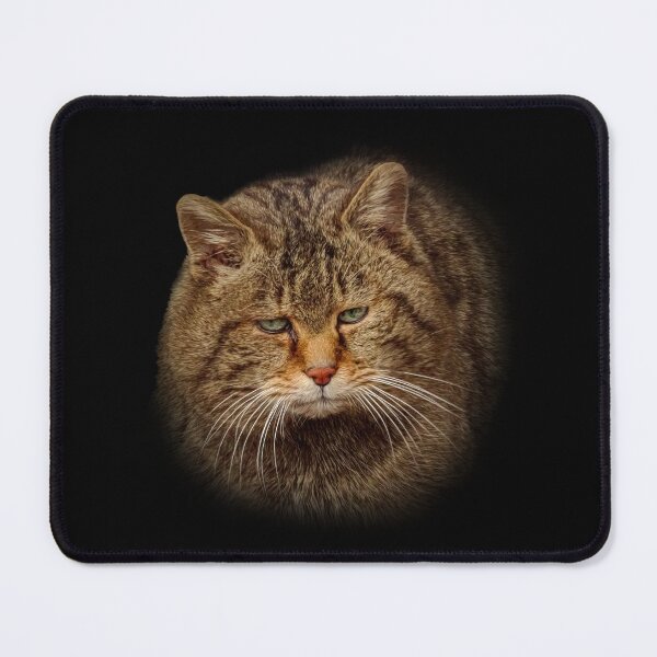Item preview, Wild Cat designed and sold by Guardi71.