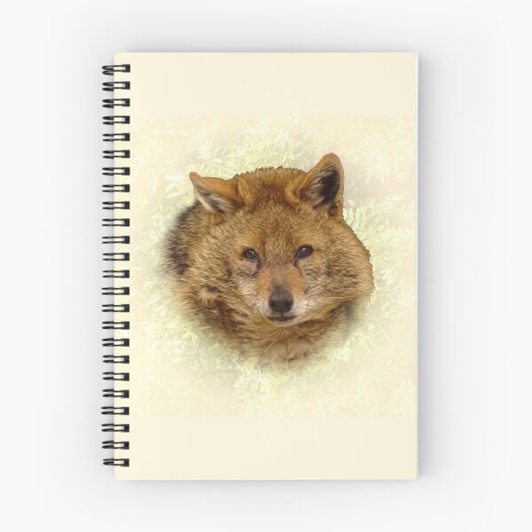 Item preview, Golden Jackal designed and sold by Guardi71.