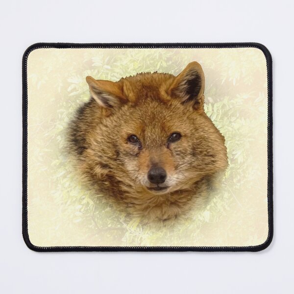 Item preview, Golden Jackal designed and sold by Guardi71.