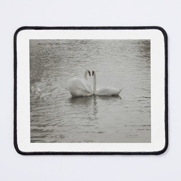 Item preview, Stunning swans  designed and sold by Katies Gallery .