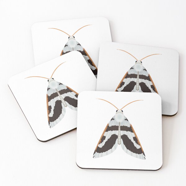 Item preview,  Crambidae moth designed and sold by swiatek.