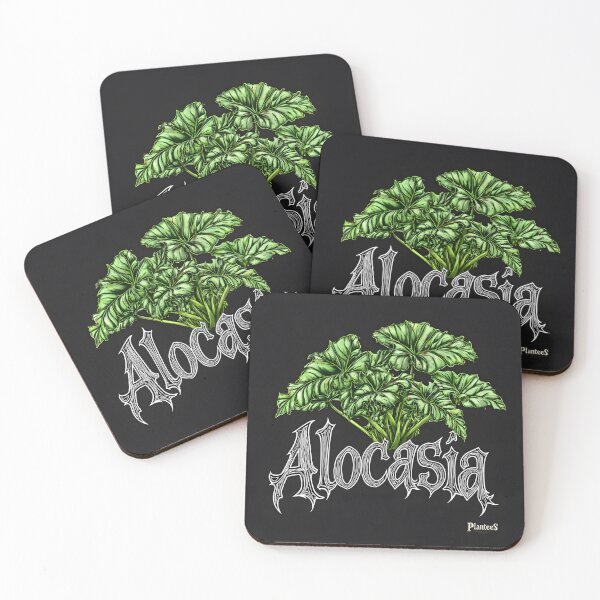 Item preview, Midnight Veil Alocasia  designed and sold by Plantees666.