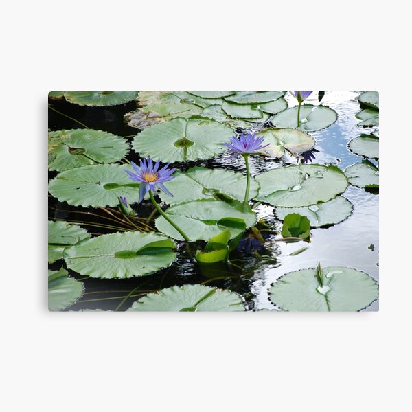 Item preview, Purple Lily Pads designed and sold by CreativeSoup.