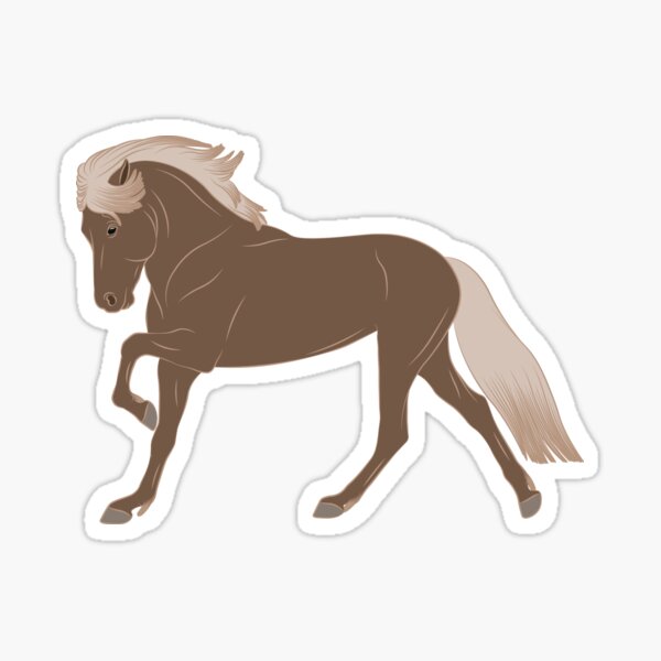 Aperçu de l'œuvre Cheval Islandais, cheval gris souris, cheval de selle léger, cheval d'allure, races de chevaux de l'Islande créée et vendue par WebEquitation®.