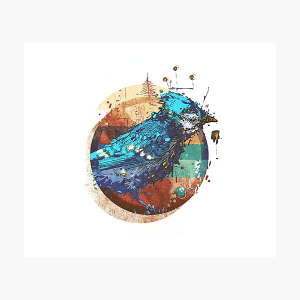 Blue Jay Photographic Print