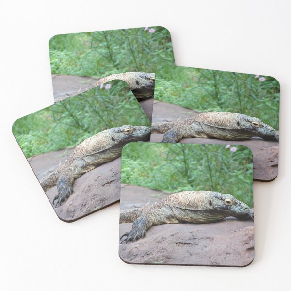Item preview, Komodo designed and sold by CreativeSoup.