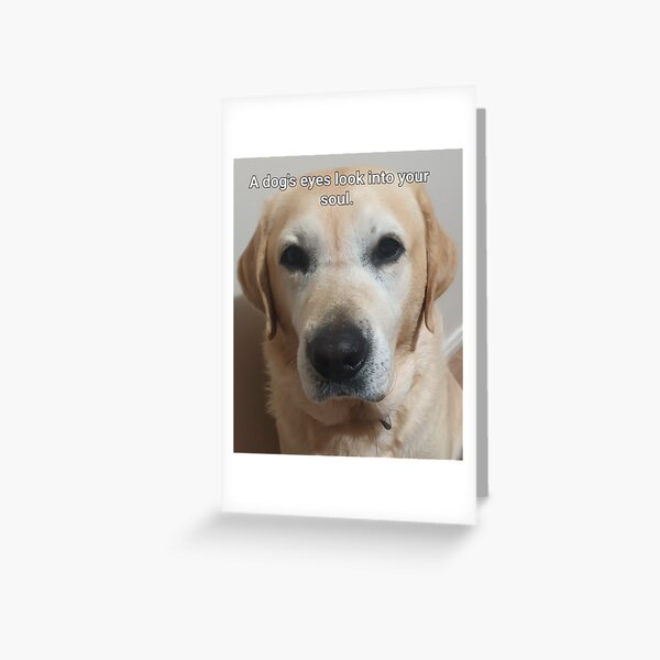 Item preview, The love of dogs designed and sold by Zestysparkles.