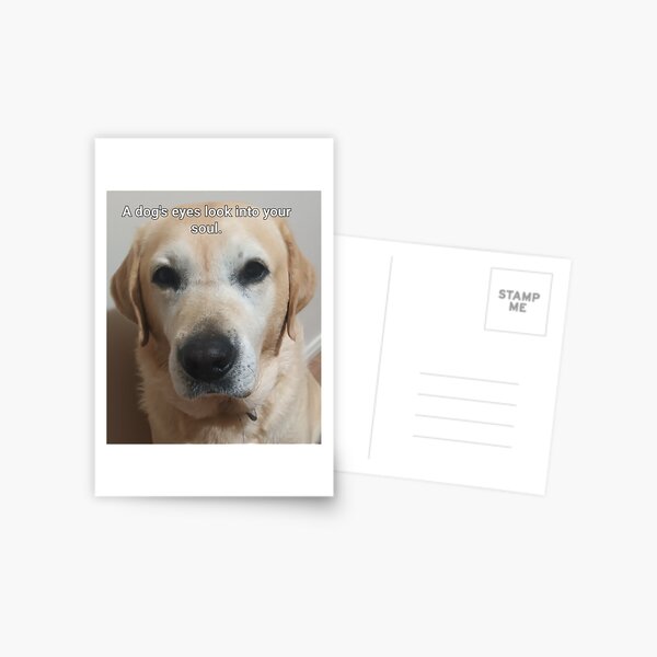 Item preview, The love of dogs designed and sold by Zestysparkles.