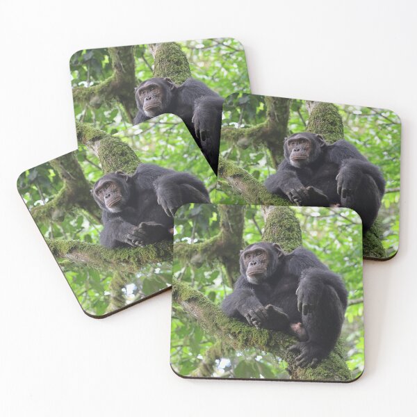 Item preview, Chimpanzee in a tree designed and sold by Proud & Pretty Wildlife Photography.