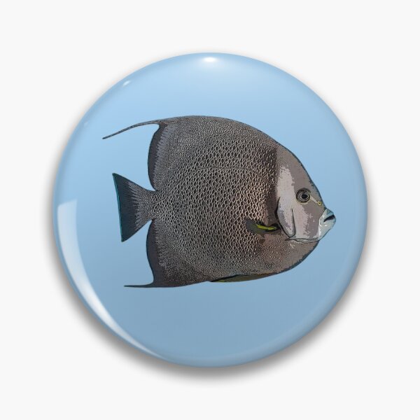 Item preview, Gray Angelfish Color Design  designed and sold by designsasstultd.