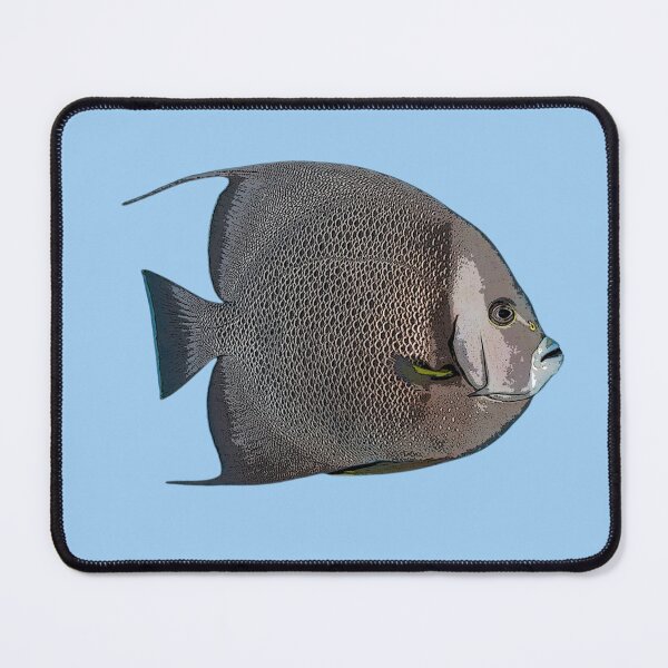 Item preview, Gray Angelfish Color Design  designed and sold by designsasstultd.
