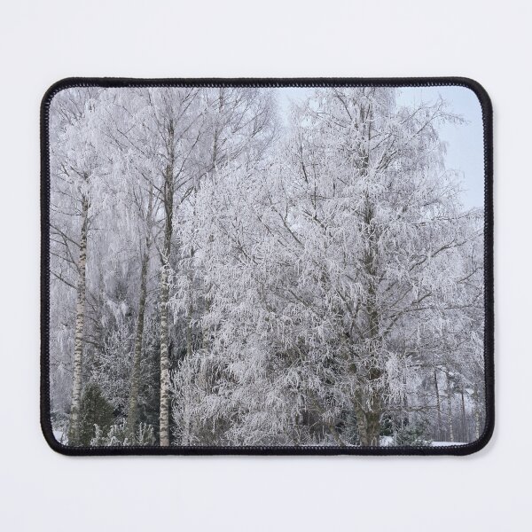 Item preview, White birches. Seitseminen designed and sold by Jouko Lehto Photography.