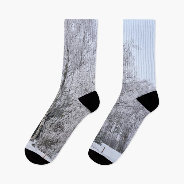 Item preview, White birches. Seitseminen designed and sold by Jouko Lehto Photography.