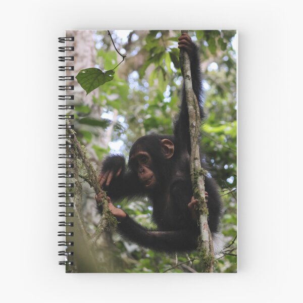 Item preview, Baby Chimpanzee designed and sold by Proud & Pretty Wildlife Photography.