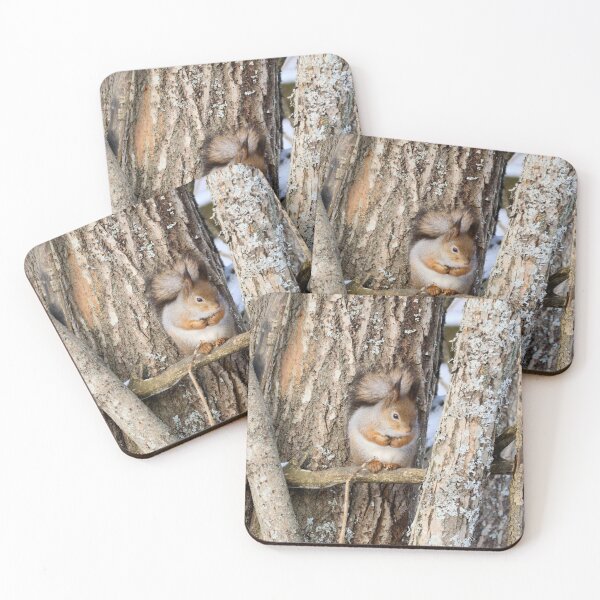 Item preview, Shades of grays. Red squirrel designed and sold by Jouko Lehto Photography.