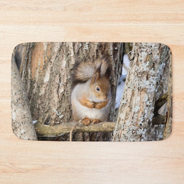 Item preview, Shades of grays. Red squirrel designed and sold by Jouko Lehto Photography.