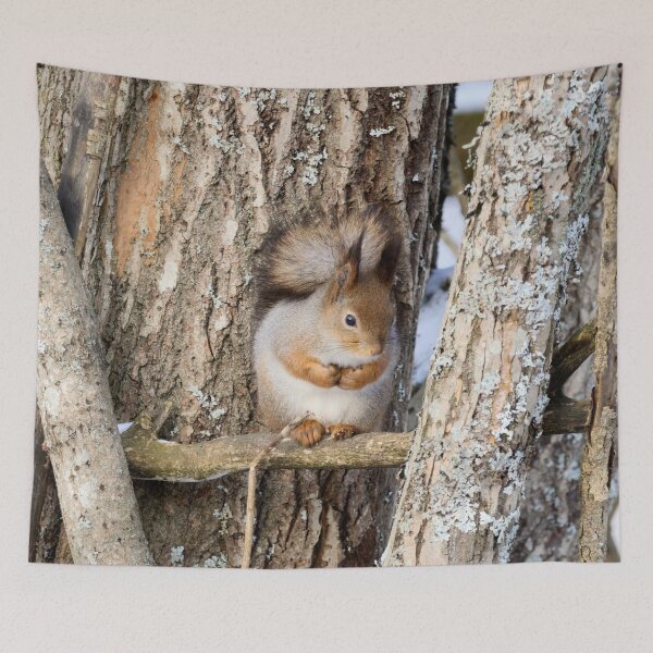 Item preview, Shades of grays. Red squirrel designed and sold by Jouko Lehto Photography.