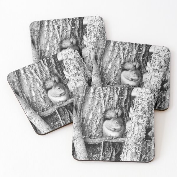 Item preview, Shades of grays. Red squirrel bw designed and sold by Jouko Lehto Photography.