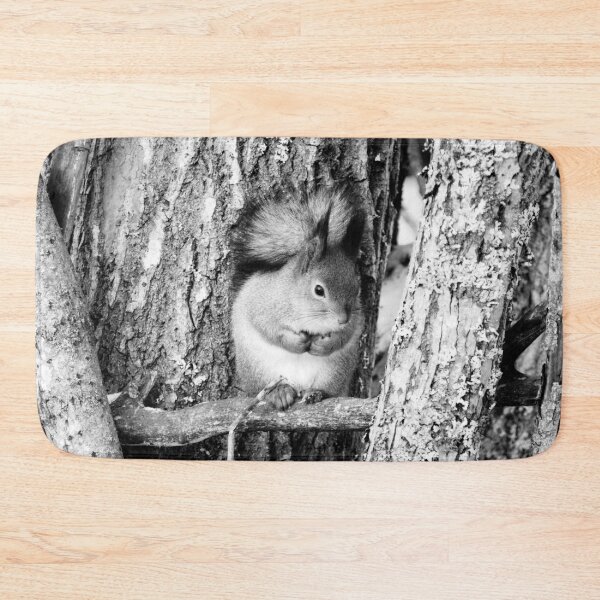 Item preview, Shades of grays. Red squirrel bw designed and sold by Jouko Lehto Photography.
