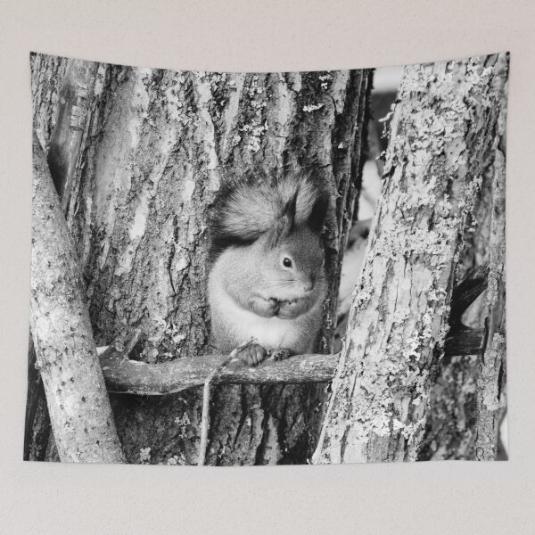 Item preview, Shades of grays. Red squirrel bw designed and sold by Jouko Lehto Photography.