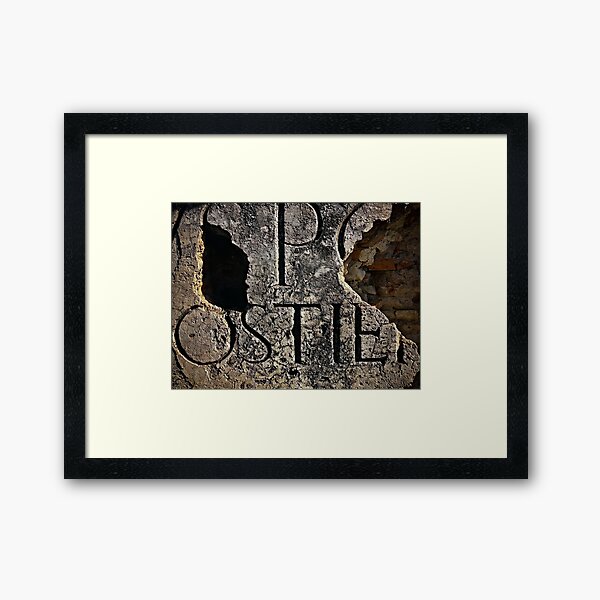 Vista previa del artículo con la obra «Ruinas antiguas de Ostia Antica », diseñado y vendido por DeepFrame.